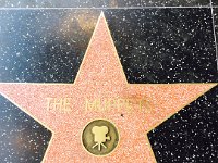 The Muppets Star  The Muppets Star on Hollywood Blvd.